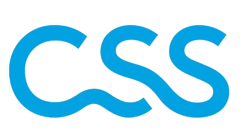 css-logo